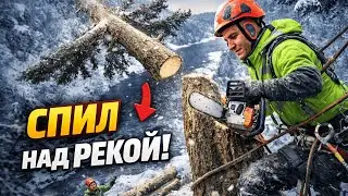 Забираюсь на ледяные деревья - работа опытного арбориста