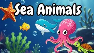 🐬 Sea Animals for Kids | Learn Ocean Animals