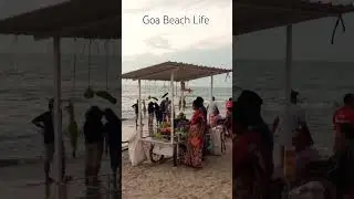 Goa Beach Life #besttravelshortvideo #beach #goawalebeach #travel #goalatestvlog #beachlife #waves