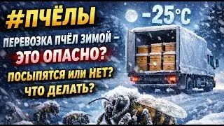 #Пчёлы. ПЕРЕВОЗКА ПЧЁЛ ЗИМОЙ ❄️ Можно ли в мороз? Посыпятся или нет? Что делать, если нужно!
