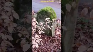 Ritterstein Nr 041 Prinzen - Weg 🛡️⚔️🇩🇪