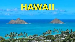 Fun HAWAII Facts for Kids 🌺 | LEARN the 50 States of the USA Series | @PollyGlotty