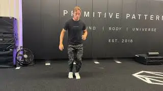Pogo Hop to Split Squat (Alternating)