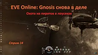 EVE Online: охота на пиратов в лоусеках &mdash; Gnosis снова в деле