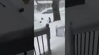 January 18, 2022 Heavy snow In Toronto, The snow made the yard and porch same level #shorts