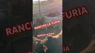 RANCHO LA FURIA DE MARIO GARC&Iacute;A #pbr #jaripeosextremos