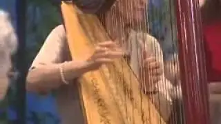 St. Louis, Missouri Harpist Sue Druckenmiller
