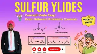 Unleashing the Secrets of Sulfur Ylides!