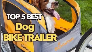 Top 5 ✅ Best Dog Bike Trailer Reviewed | Top Best Bike trailer for dogs specially made for dogs 2024