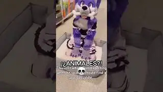 estas personas CREEN QUE SON ANIMALES?! 😱😨 #furry #furries #antifurry