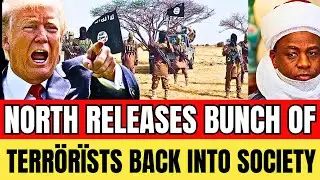 TRUMP VS TINUBU! DEADLY TERR&Ouml;RISTS RELEASED IN D NORTH: NORTHERNER LEADERS SUPPORT TERR&Ouml;R