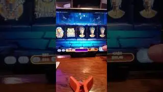 Local MN gambling Etabs, Nile Treasures