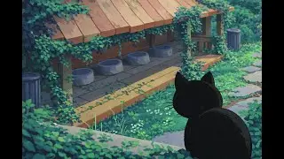 bmo&rsquo;s radio `*