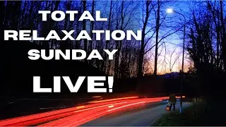 🔴 Frankie LIVEs: Sunday Jazz Chill Radio | Total Relaxation & Smooth Guitar Flow