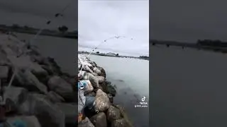 Fishing in Moss Landing Ca at the rocks