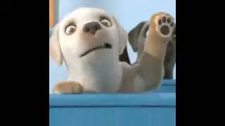 Dogs School,😭😭 dog help|😊😊 Whatsapp status #Time2 status