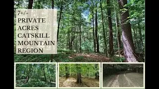 Catskill Mountain Tranquility &ndash; 7+/- Acres of Private, Wooded Bliss #catskills #landforsale
