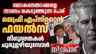 ജെഫ്രി എപ്സ്‌റ്റൈന്‍ ഫയല്‍സ്: നിഗൂഢതകള്‍ ചുരുളഴിയുമ്പോള്‍ | JEFFREY EPSTEIN FILES | NILAPADU