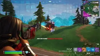 Fortnite_20250213225429