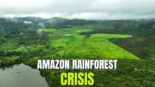 Amazon Crisis, Prime Day, Worker Rights & New Tech! | Amazon Insights