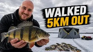 Found Jumbo Perch on Lake Simcoe (Solo Ice Fishing)
