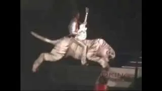 The Darkness - Justin Riding The White Tiger
