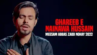 Meesam Abbas Zaidi Nohay 2022 | Ghareb E Nanawa Hussain