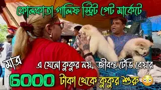 মাত্র 6000 টাকা থেকে কুকুর শুরু 😳🔥| Galiff Street Pet Market | Dog Market in Kolkata 