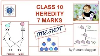 Heredity Explained | Laws of Inheritance | Easy Concepts | Fulcrum Academy Class 10 Science
