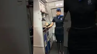 Most Beautiful Punjabi Air hostess *Indigo* 😍 | #shorts #viral #flight