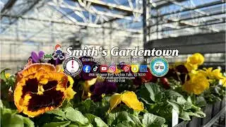 Live from Home and Garden Show!