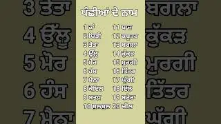 20 Birds name in punjabi|| ਪੰਛੀਆਂ ਦੇ ਨਾਮ#birds #education #shortsfeed