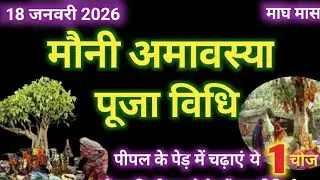 Mauni Amavasya kab h 2026 | Mauni Amavasya puja vidhi 2026  | मौनी अमावस्या पूजा विधि 2026