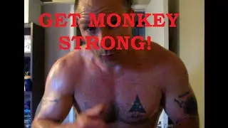 Monkey Ups: развивайте невероятную силу для подтягиваний