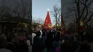 silver dollar city sdc Christmas tree lighting