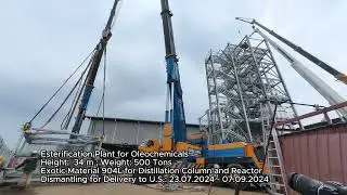 𝗘𝗦𝗧𝗘𝗥𝗜𝗙𝗜𝗖𝗔𝗧𝗜𝗢𝗡 𝗣𝗟𝗔𝗡𝗧 𝗢𝗙 𝗢𝗟𝗘𝗢𝗖𝗛𝗘𝗠𝗜𝗖𝗔𝗟𝗦 (2024)