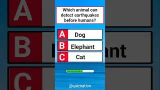 USA Quiz Challenge: Test Your Knowledge With This Question #usaquiz #funquiz #brainteaser #usafacts