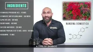 Focused-AF Benefits Breakdown | Steel Supplements