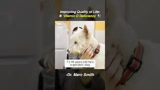Improve Senior Dog Health with Vit D | Marc Smith, DVM, MS