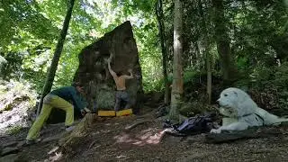 Ringbandstresser - Felsenmeer - Calw