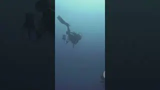 Squba diving motivation success