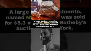 Martian Meteorite NWA 16788 Sold for $5.3 Million at Auction