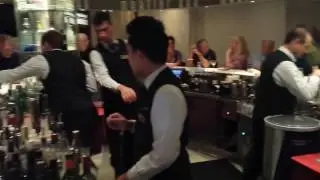 Martini Bar- Celebrity Constellation