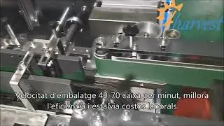 Cartonadora de tonyina,envasadora de caixes autom&agrave;tiques de llaunes de sardina0