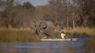 Dereck & Beverly Joubert on Filming Soul of the Elephant