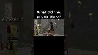 Bro got so mad he roasted the enderman 💀