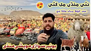 Buner Largest Maweshi Mandi Sowari 2026 بونیر کا ہفتوار میلہ جہاں سب کچھ ملتا ہے Izhar Ali Shah Vlog