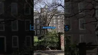 Why do Old Buildings Last Longer than New Ones? 🤔