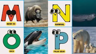 Arctic ABCs | The Alphabet with Arctic Animals Song for Kids |#abcd #kids