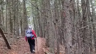 Beaver Pond Loop Hike, Part 1 of 2 - Glacier National Park